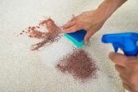 Eco Carpet Cleaning Brisbane image 12