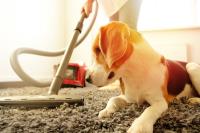 Eco Carpet Cleaning Sydney image 17