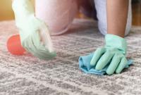 Eco Carpet Cleaning Sydney image 7