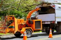 Eco Tree Removal Brisbane image 33