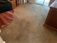 Micks Carpet Cleaning Adelaide image 5