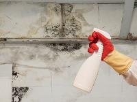 Mould Experts Sydney image 2