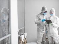 Mould Experts Sydney image 3