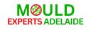 Mould Experts Adelaide logo