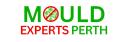 Mould Experts Perth logo