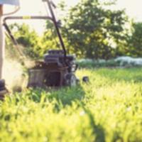 Perth Lawn Mowing image 4