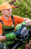 ArboristsGoldCoast.com.au image 2