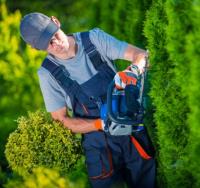 ArboristsSunshineCoast.com.au image 1