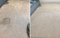 Waratah Carpet Cleaning Central Coast image 3