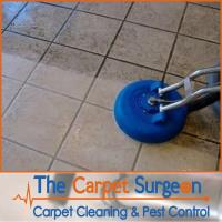 The Carpet Surgeon Gold Coast image 6