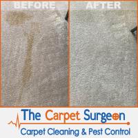 The Carpet Surgeon Gold Coast image 9