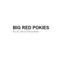 Bigredpokie  logo