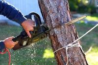 Shepparton Tree Service image 2