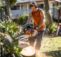 Trusted Tree Lopping Brisbane image 4