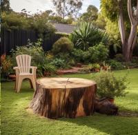 Smart Tree Removal Brisbane image 6