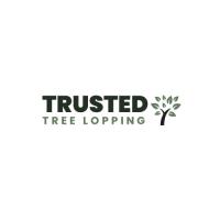 Trusted Tree Lopping Brisbane image 7