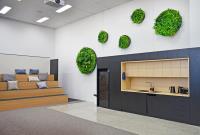 Designer Vertical Gardens image 3