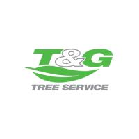 T&G Tree Services image 1