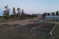 Wrangler Stockyards and Trailers image 6