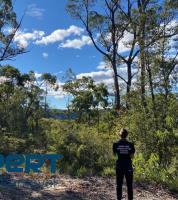 Expert Tree Removal Pty Ltd image 5