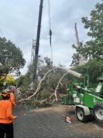 Rangeview Tree Services image 5