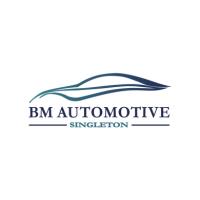 BM Automotive Singleton image 1