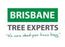 Brisbane Tree Experts logo