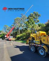 Ben Hastings Tree Service image 3