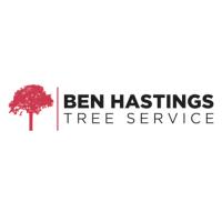 Ben Hastings Tree Service image 1