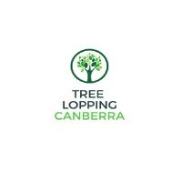 Tree Loppers Canberra image 1