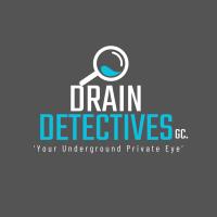 Drain Detectives GC image 1