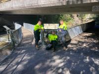 Batemans Bay Tree Removal image 1