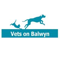 Vets On Balwyn image 1