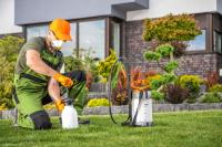 Expert Pest Control Sydney image 4