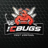 I C Bugs Pest Control image 1