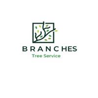 Branches Tree Service Sydney image 1