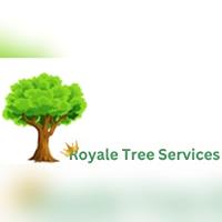 Tree Removal Sydney - Royale tree service image 1