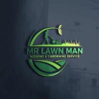 Mr Lawn Man image 1