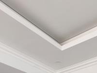 Ceiling Pro image 1