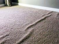 Brisbane Carpet Repair image 4