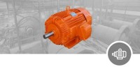 TECO Electric Motors image 5