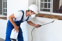 Pest Control Melbourne: True Pest Control  image 1