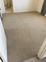 SnowWhite Carpet Cleaning image 1