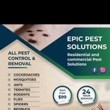 Epic pest solutions image 4