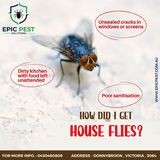 Epic pest solutions image 5