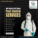 Epic pest solutions image 7