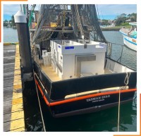 Tasman Star Seafood Market image 7