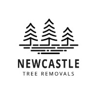 Newcastle Tree Removal Pros image 1