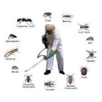 AU Pest Control Services image 1