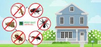 AU Pest Control Services image 5